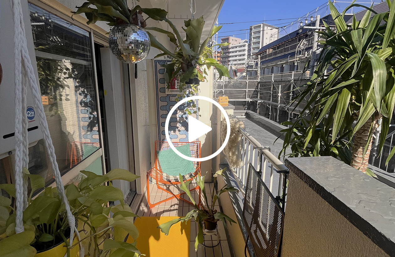YouTube 영상 재생